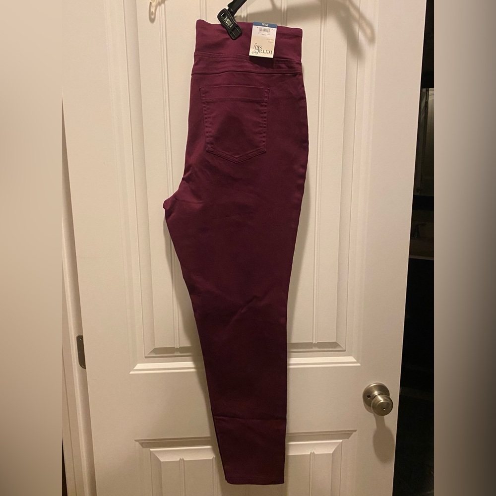 Terra & Sky Skinny Jegging, NWT